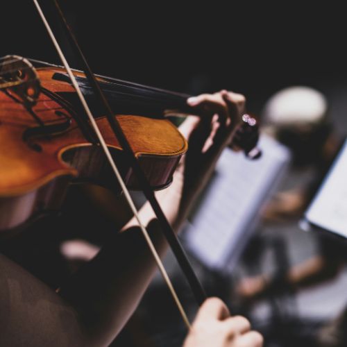 Violon