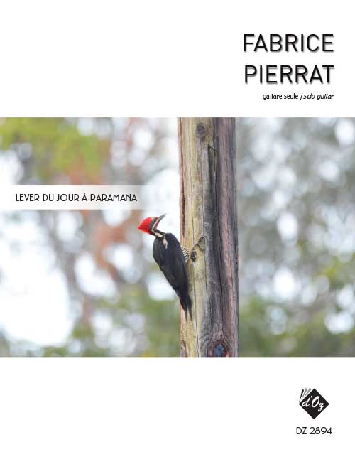 Aperçu du produitLever du jour à Paramana