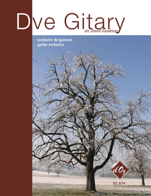 Aperçu du produitDve Gitary