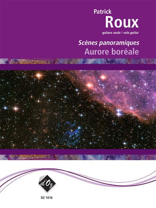 Aperçu du produitScènes panoramiques - Aurore boréale
