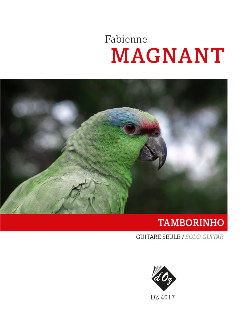 Aperçu du produitTamborinho